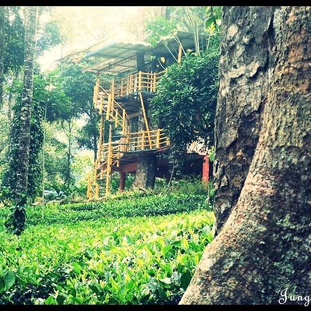 Jungle Jive Tree House Munnar Bed & Breakfast エクステリア 写真