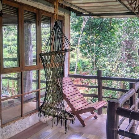 Jungle Jive Tree House Munnar Bed & Breakfast エクステリア 写真
