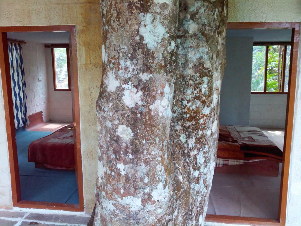 Jungle Jive Tree House Munnar Bed & Breakfast エクステリア 写真