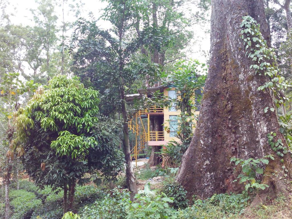 Jungle Jive Tree House Munnar Bed & Breakfast 部屋 写真