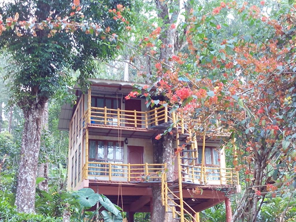 Jungle Jive Tree House Munnar Bed & Breakfast エクステリア 写真