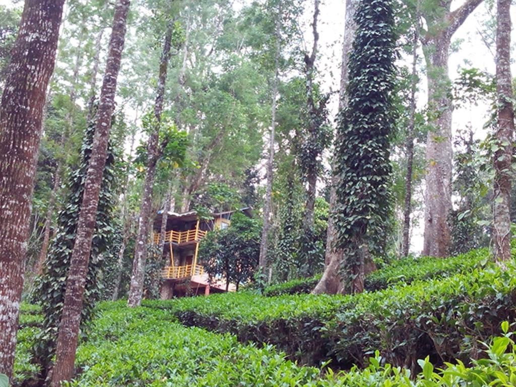 Jungle Jive Tree House Munnar Bed & Breakfast エクステリア 写真