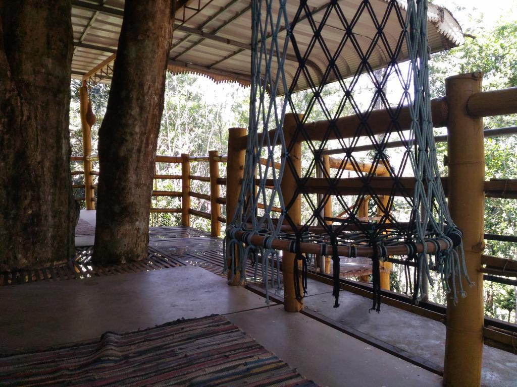 Jungle Jive Tree House Munnar Bed & Breakfast エクステリア 写真