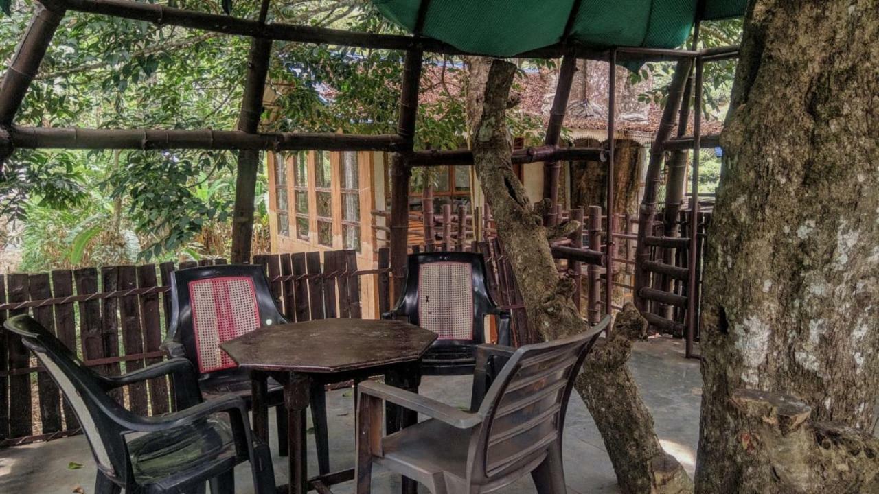 Jungle Jive Tree House Munnar Bed & Breakfast エクステリア 写真