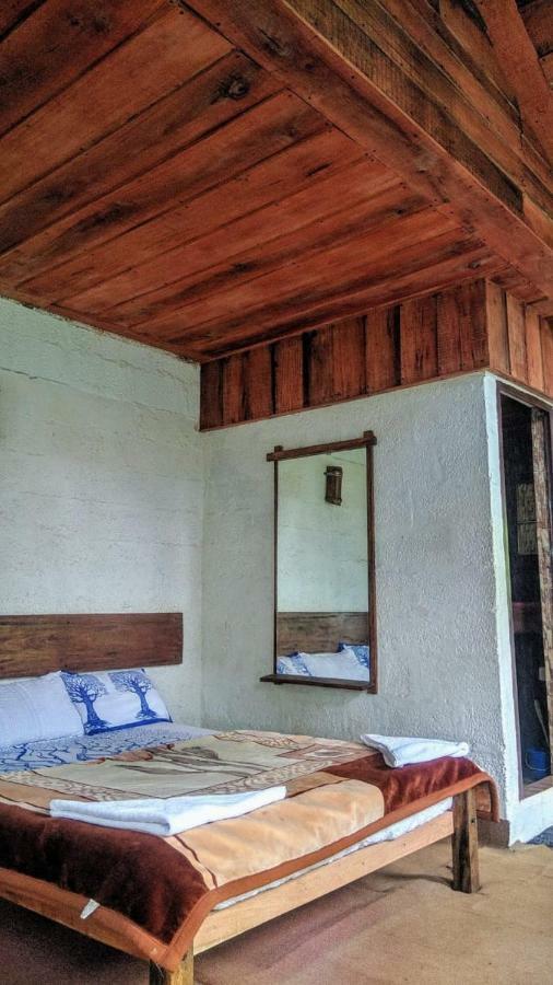 Jungle Jive Tree House Munnar Bed & Breakfast エクステリア 写真