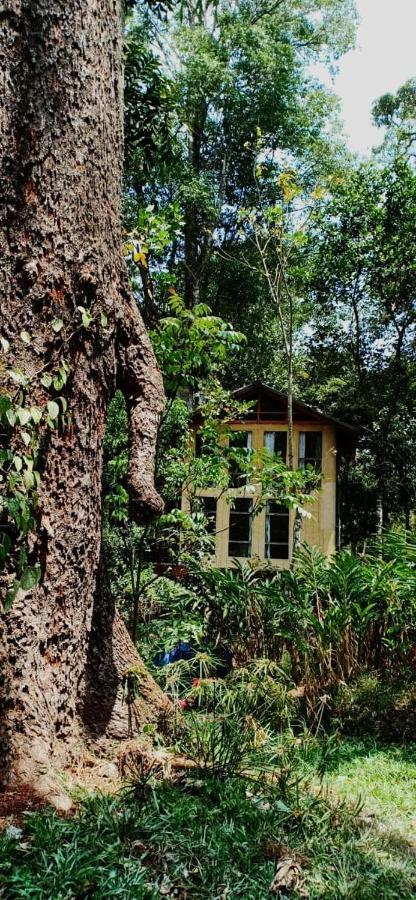 Jungle Jive Tree House Munnar Bed & Breakfast エクステリア 写真