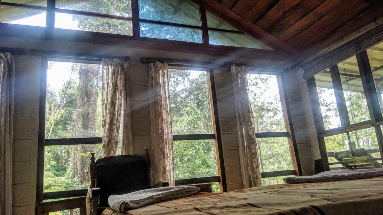 Jungle Jive Tree House Munnar Bed & Breakfast エクステリア 写真