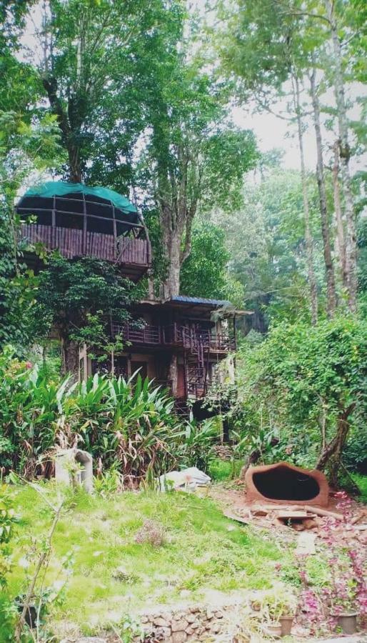 Jungle Jive Tree House Munnar Bed & Breakfast エクステリア 写真
